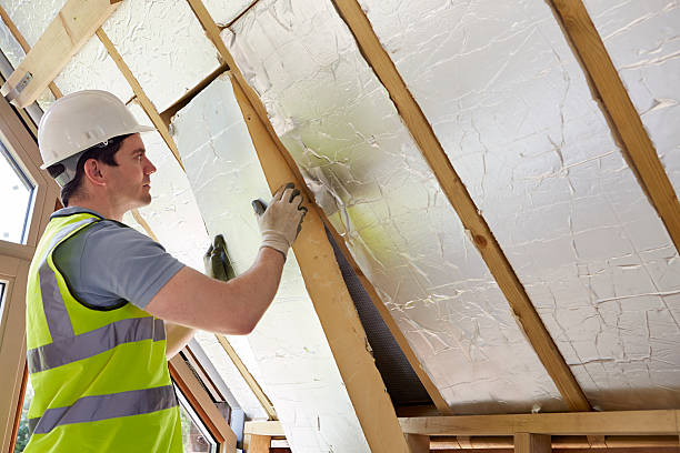 Best Geographic-Specific Insulation Services in Washburn, IL